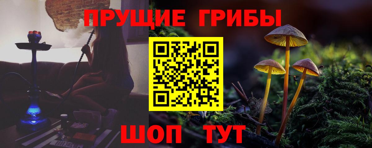 Галлюциногенные грибы Cubensis  Вход с VPN  купить наркотики сайты  Богданович 
